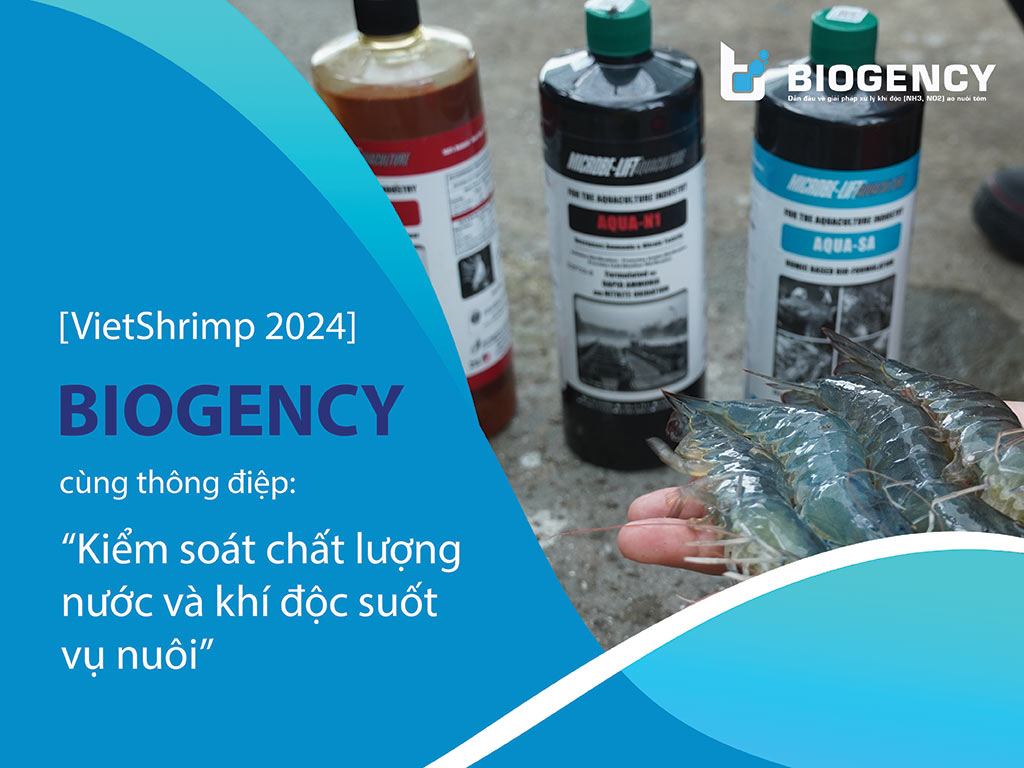 [VietShrimp 2024] BIOGENCY cùng thông điệp: “Kiểm soát chất lượng nước và khí độc suốt vụ nuôi”