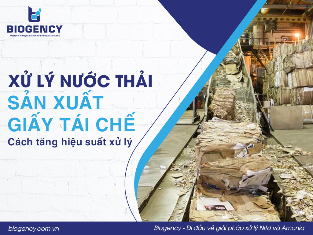 Quy trình xử lý nước thải sản xuất giấy tái chế và cách tăng hiệu suất xử lý