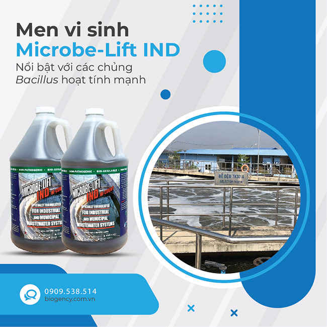 Ứng dụng vi sinh vật trong xử lý nước thải thực phẩm Ứng dụng vi sinh vật trong xử lý nước thải thực phẩm