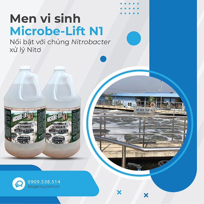 Ứng dụng vi sinh vật trong xử lý nước thải thực phẩm Ứng dụng vi sinh vật trong xử lý nước thải thực phẩm