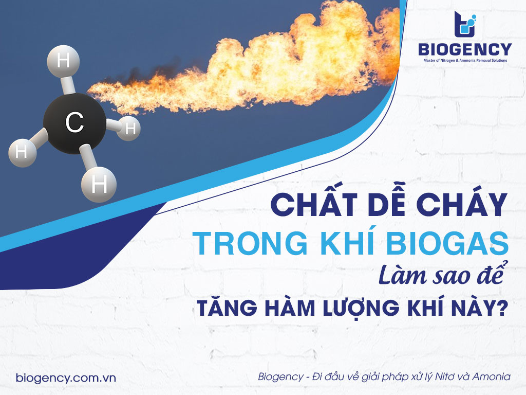 Chất Dễ Cháy Trong Khí Biogas: Tìm Hiểu Và Ứng Dụng Hiệu Quả