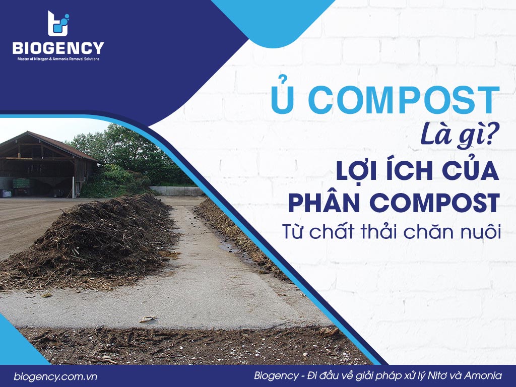 Ủ Compost là gì? Lợi ích của phân Compost từ chất thải chăn nuôi