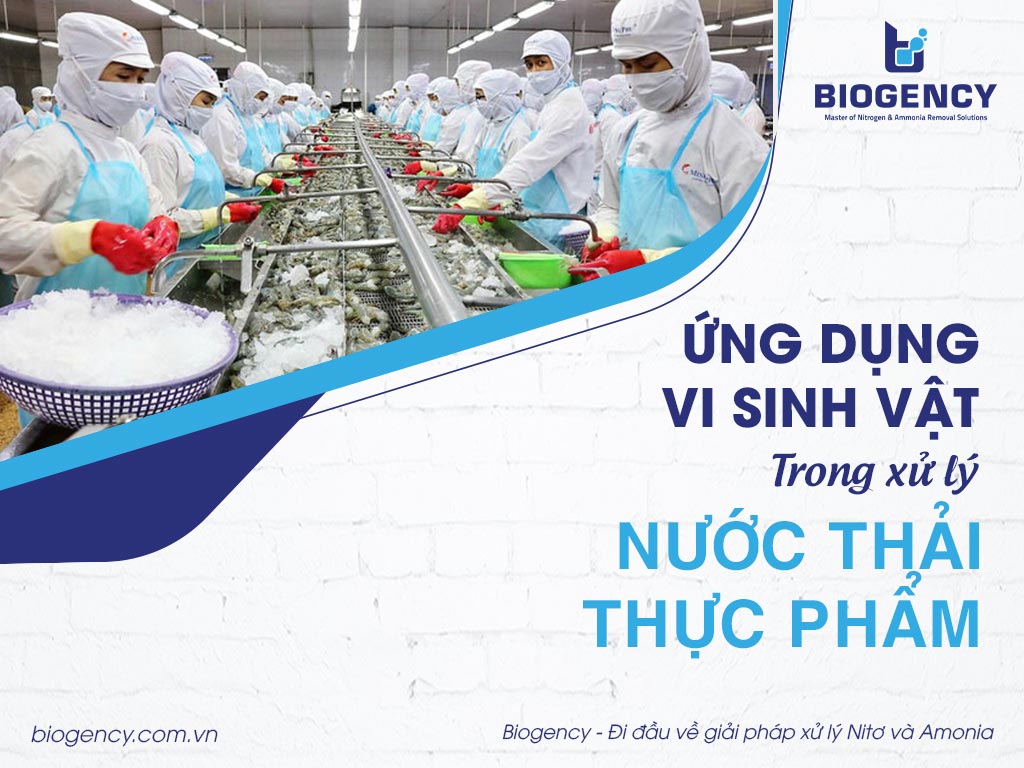 Ứng dụng vi sinh vật trong xử lý nước thải thực phẩm