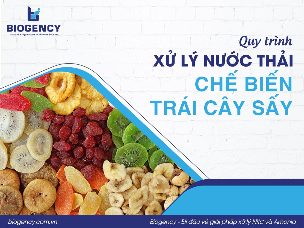 Quy trình xử lý nước thải chế biến trái cây sấy