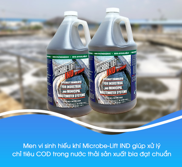 Bảo vệ môi trường trong sản xuất bia Bảo vệ môi trường trong sản xuất bia