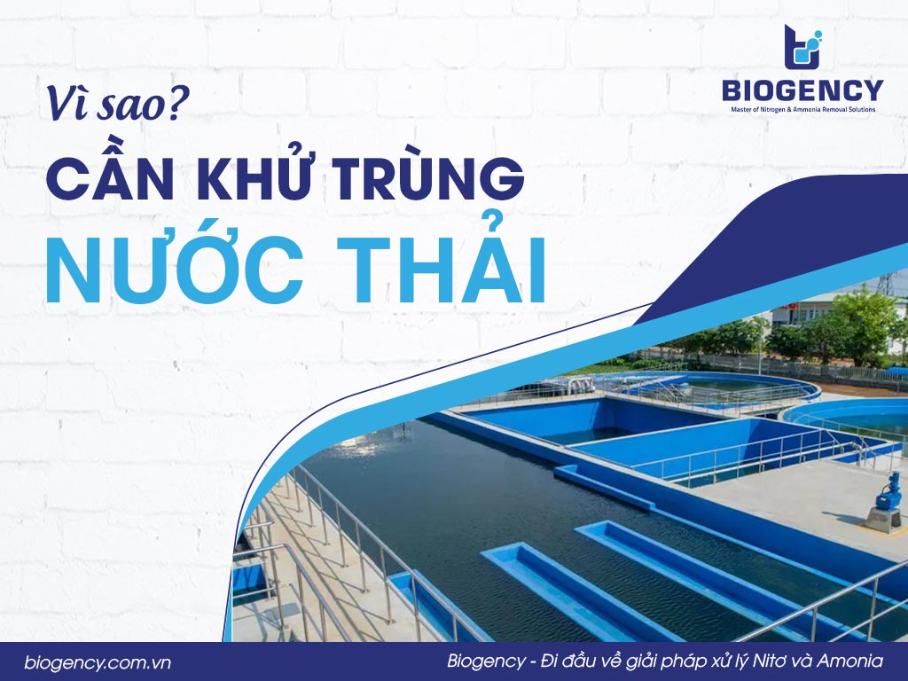 Vì sao cần khử trùng nước thải?