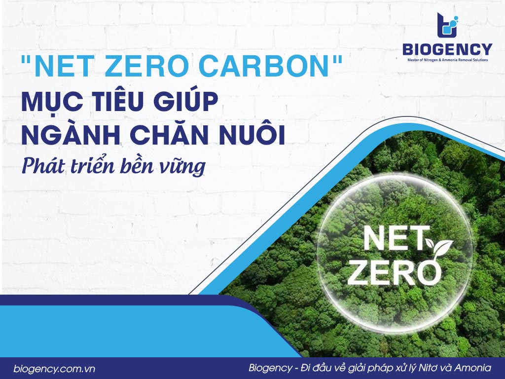 "Net Zero Carbon" - Mục tiêu giúp ngành chăn nuôi phát triển bền vững