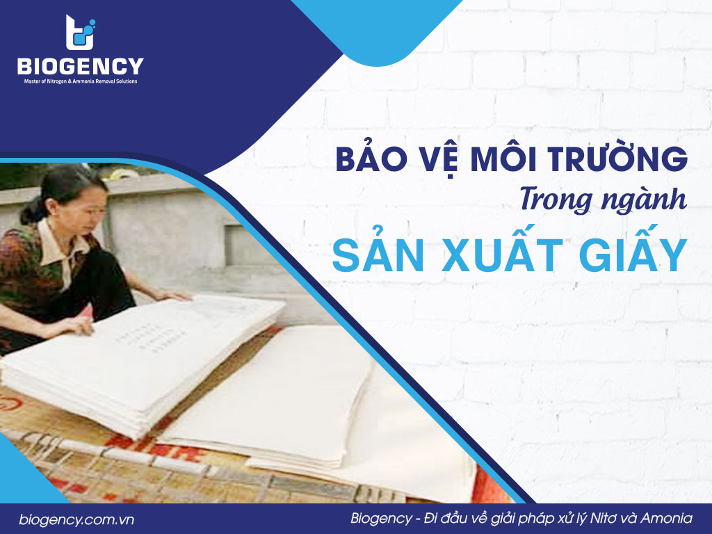 Bảo vệ môi trường trong ngành sản xuất giấy