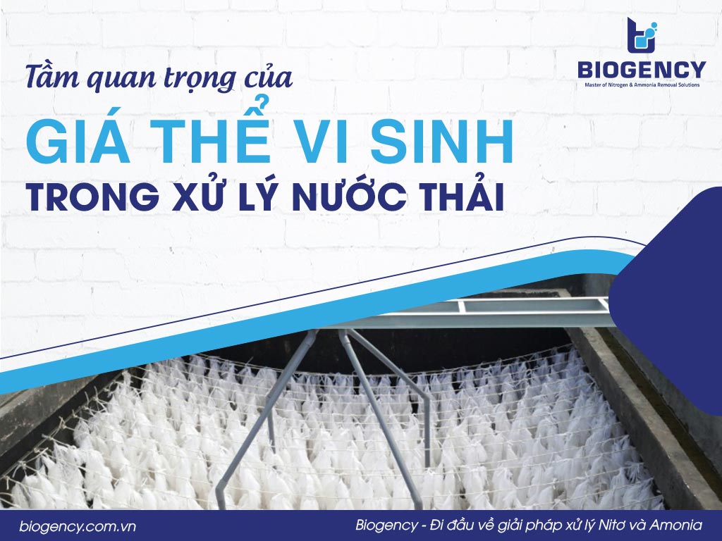 Tầm quan trọng của giá thể vi sinh trong xử lý nước thải