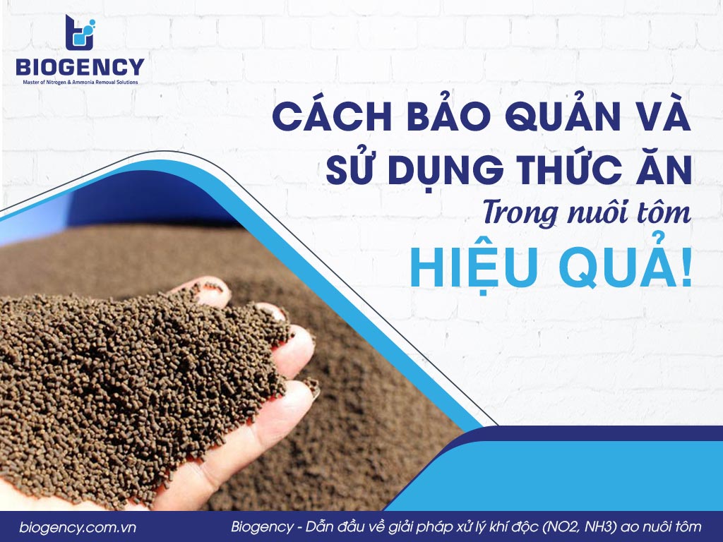 Cách bảo quản và sử dụng thức ăn trong nuôi tôm hiệu quả!