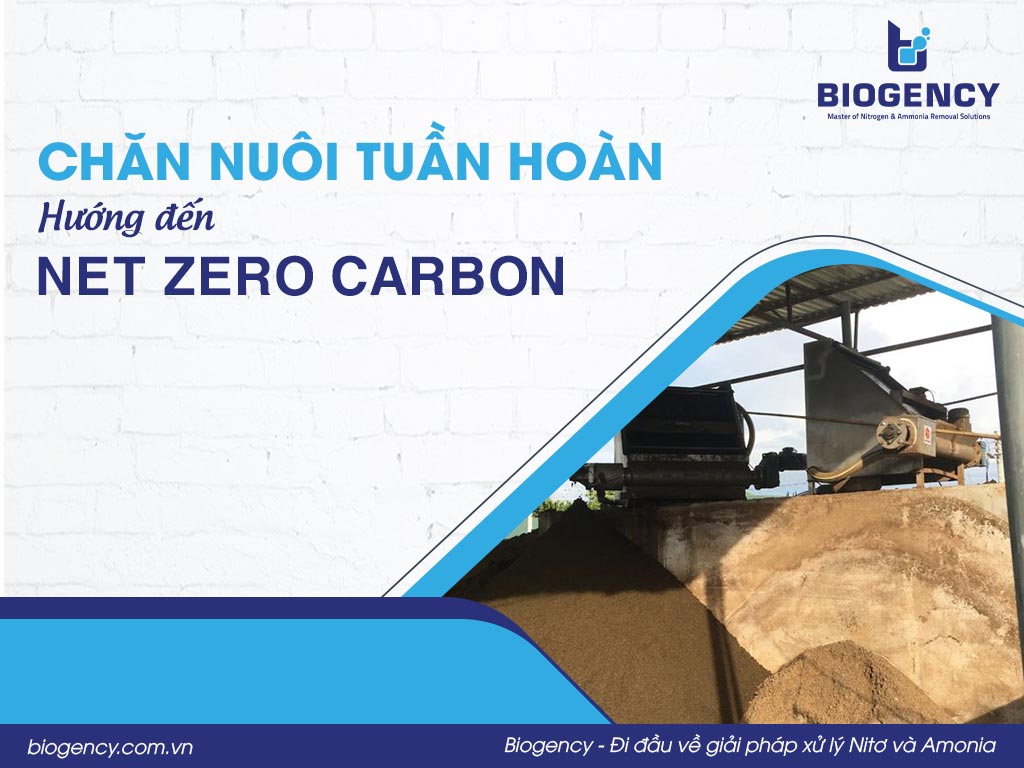 Chăn nuôi tuần hoàn hướng đến Net Zero Carbon