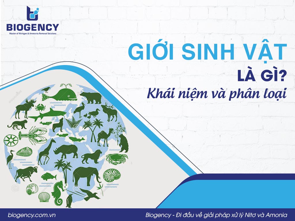 Giới sinh vật là gì? Khái niệm và phân loại