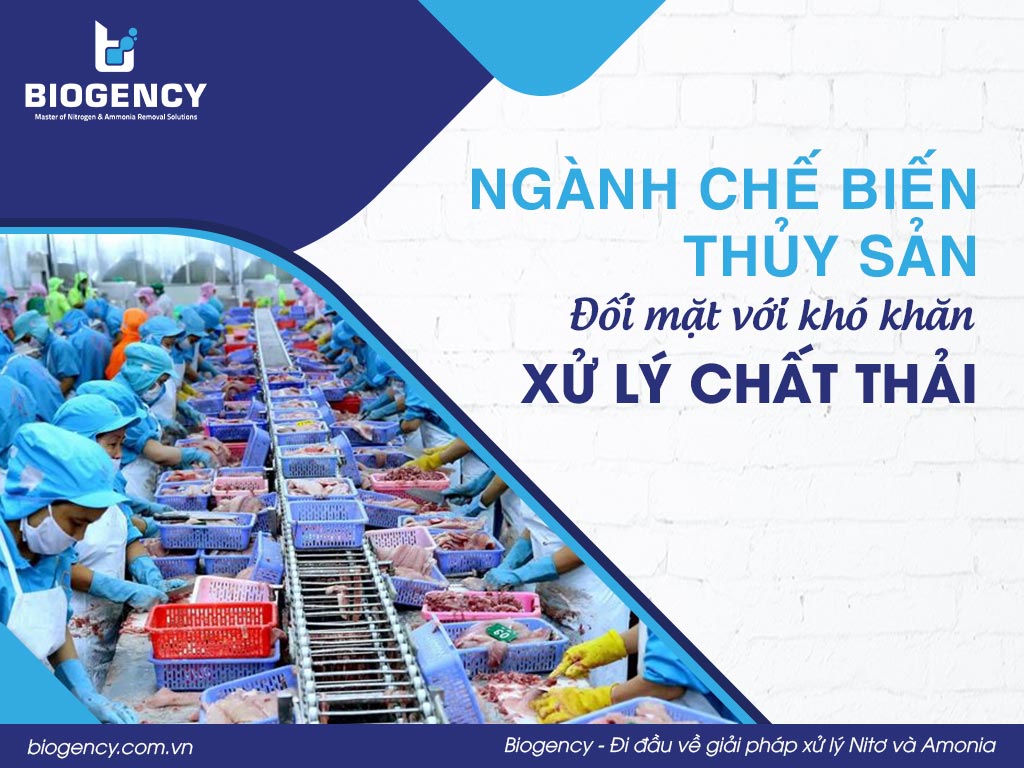 Ngành chế biến thủy sản đối mặt với khó khăn xử lý chất thải