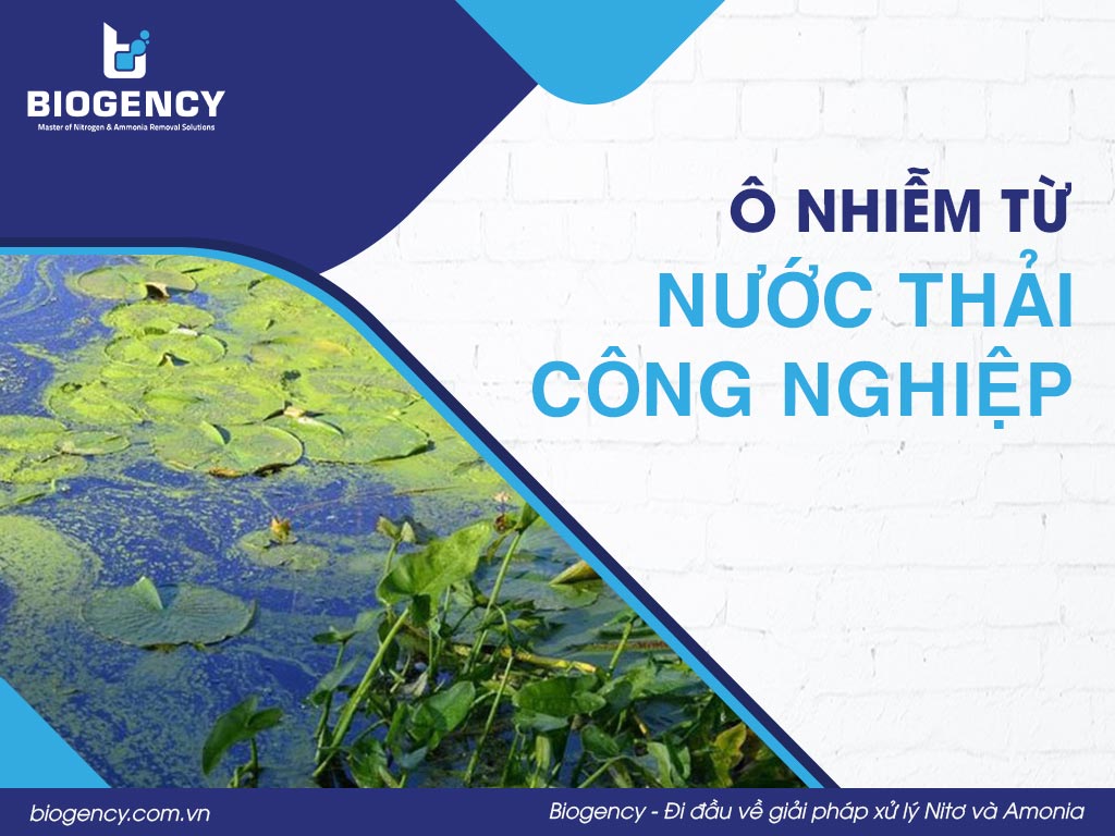 Ô nhiễm từ nước thải công nghiệp