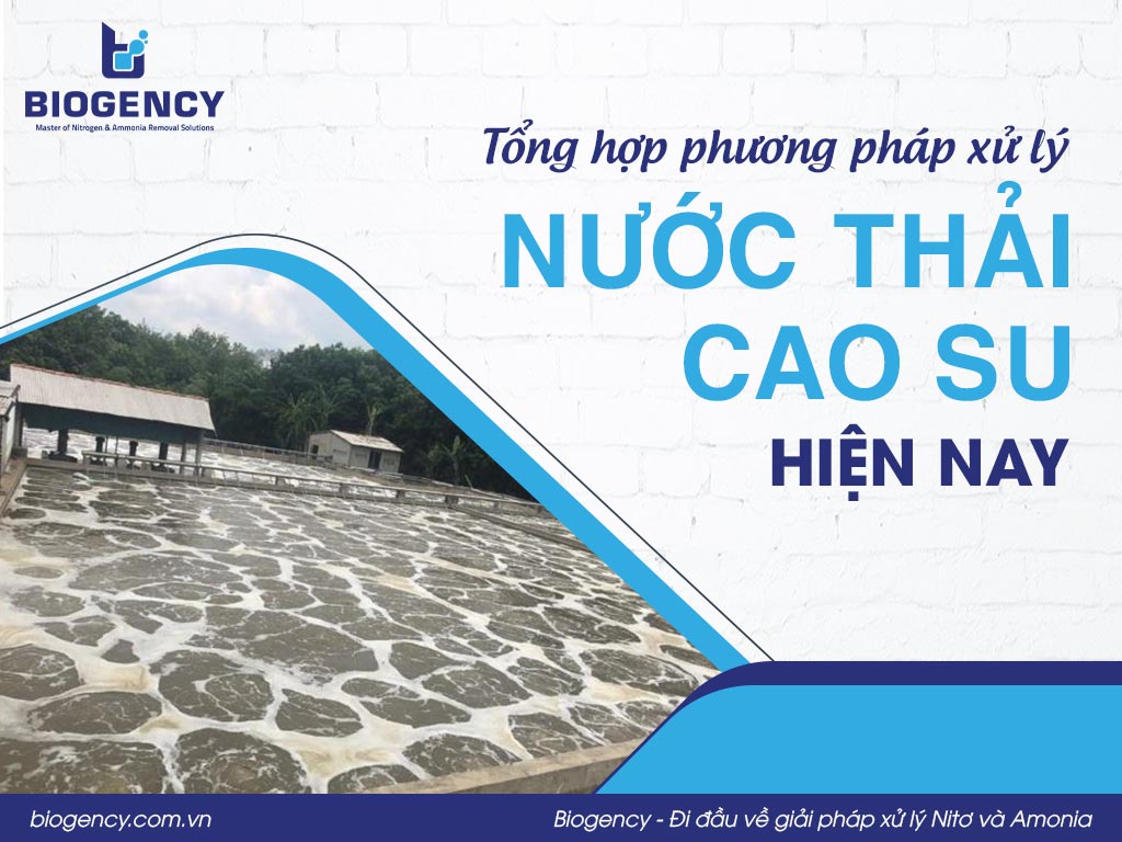 Tổng hợp phương pháp xử lý nước thải cao su hiện nay