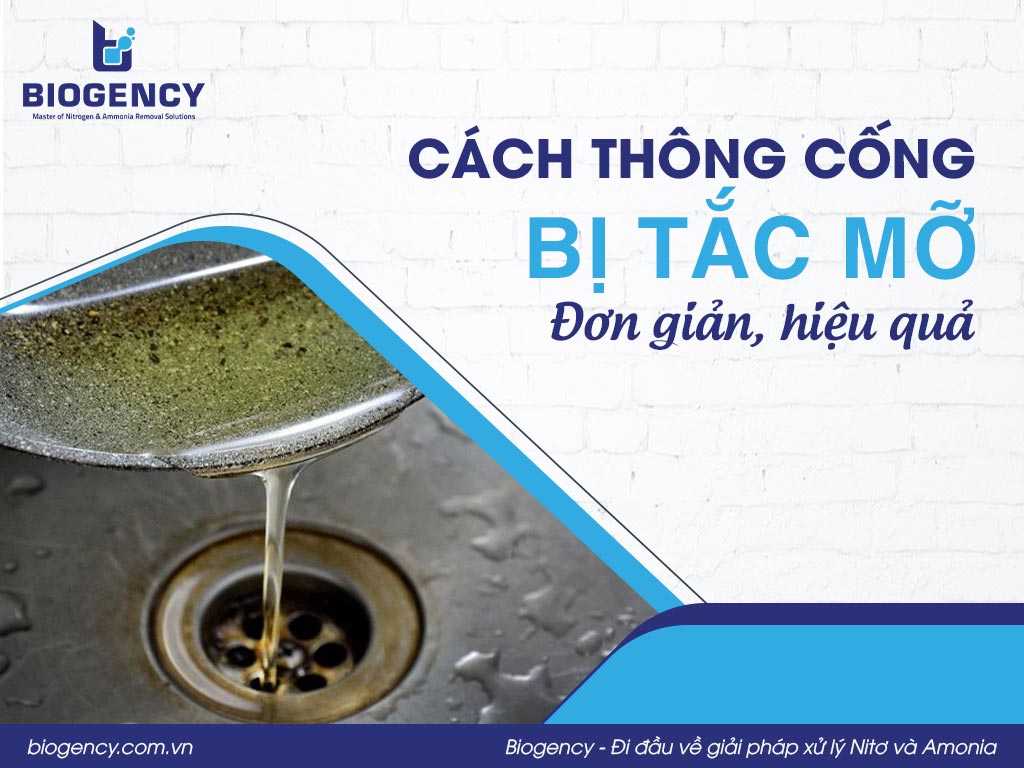 Cách thông cống bị tắc mỡ đơn giản, hiệu quả