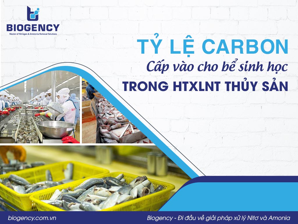 Tỷ lệ Carbon cấp vào cho bể sinh học trong HTXLNT thủy sản