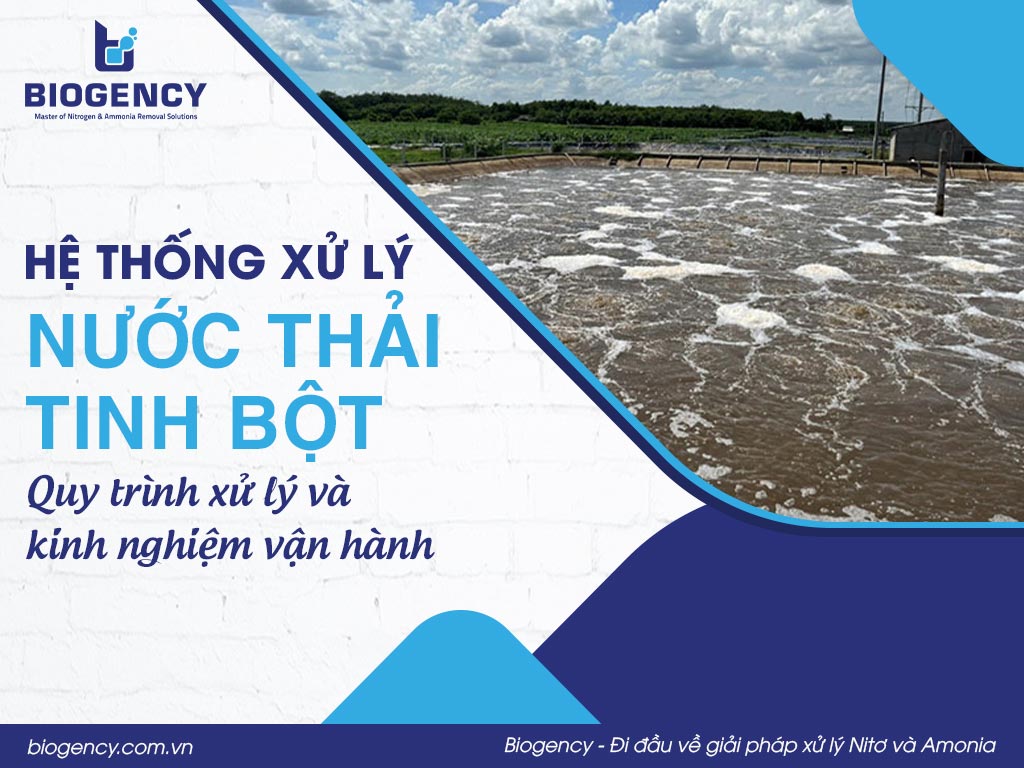 Hệ thống xử lý nước thải tinh bột: Quy trình xử lý và kinh nghiệm vận hành