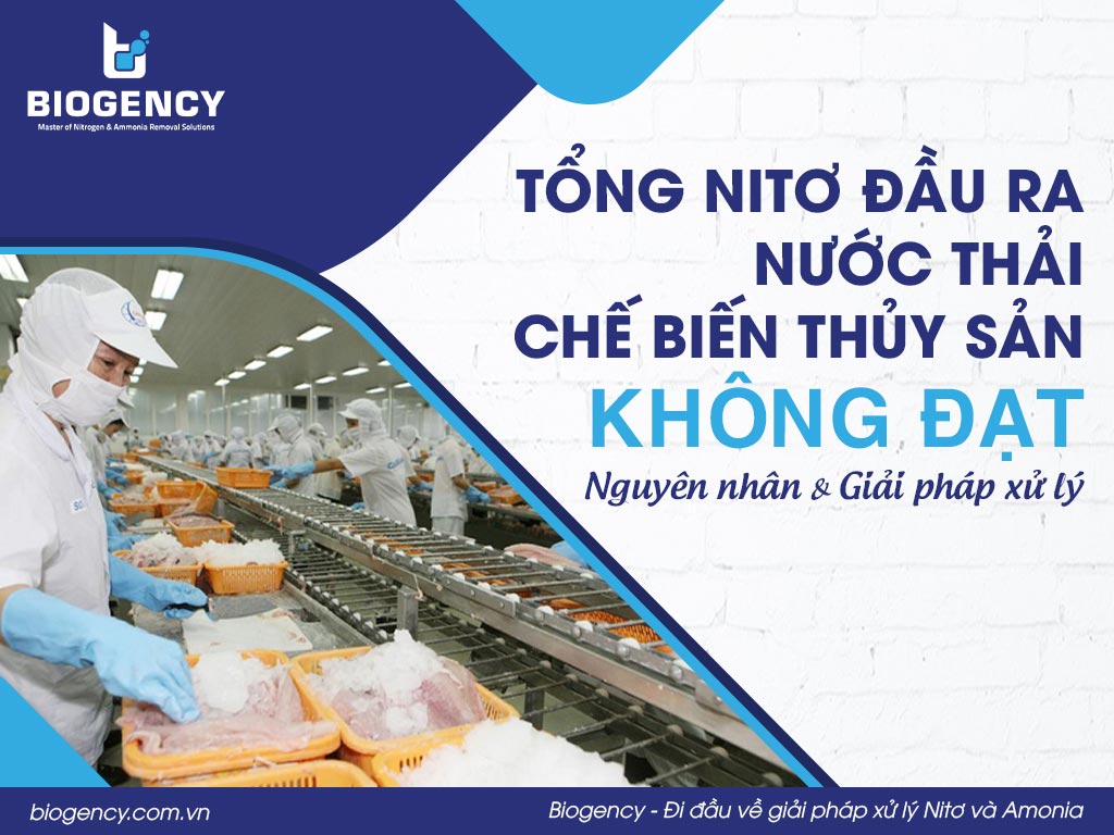 Tổng Nitơ đầu ra nước thải chế biến thủy sản không đạt: Nguyên nhân và giải pháp xử lý