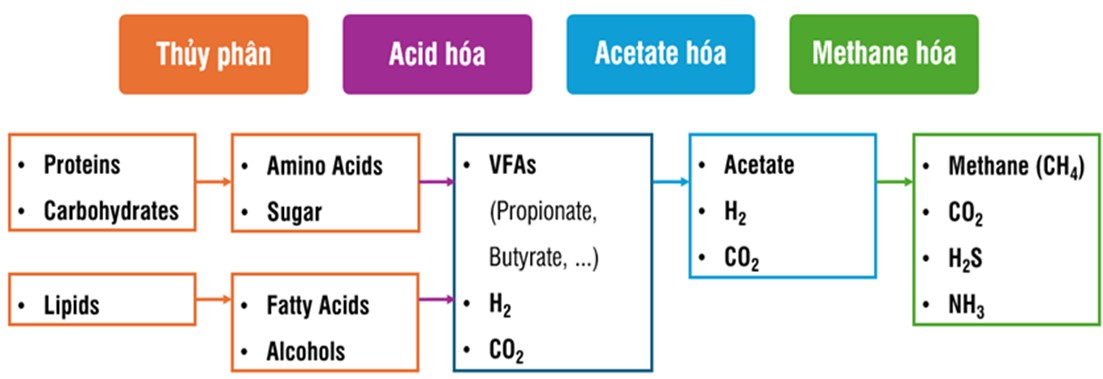 Điều kiện vận hành bể sinh học kỵ khí trong hệ thống xử lý nước thải