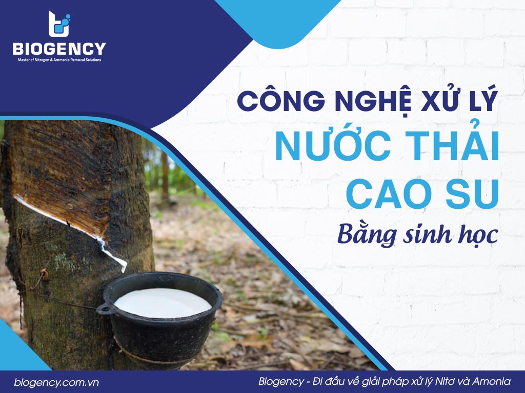 Công nghệ xử lý nước thải cao su bằng sinh học
