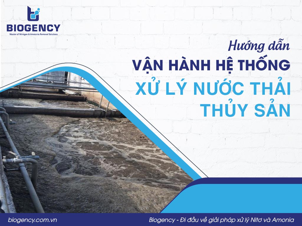 Hướng dẫn vận hành hệ thống xử lý nước thải thủy sản