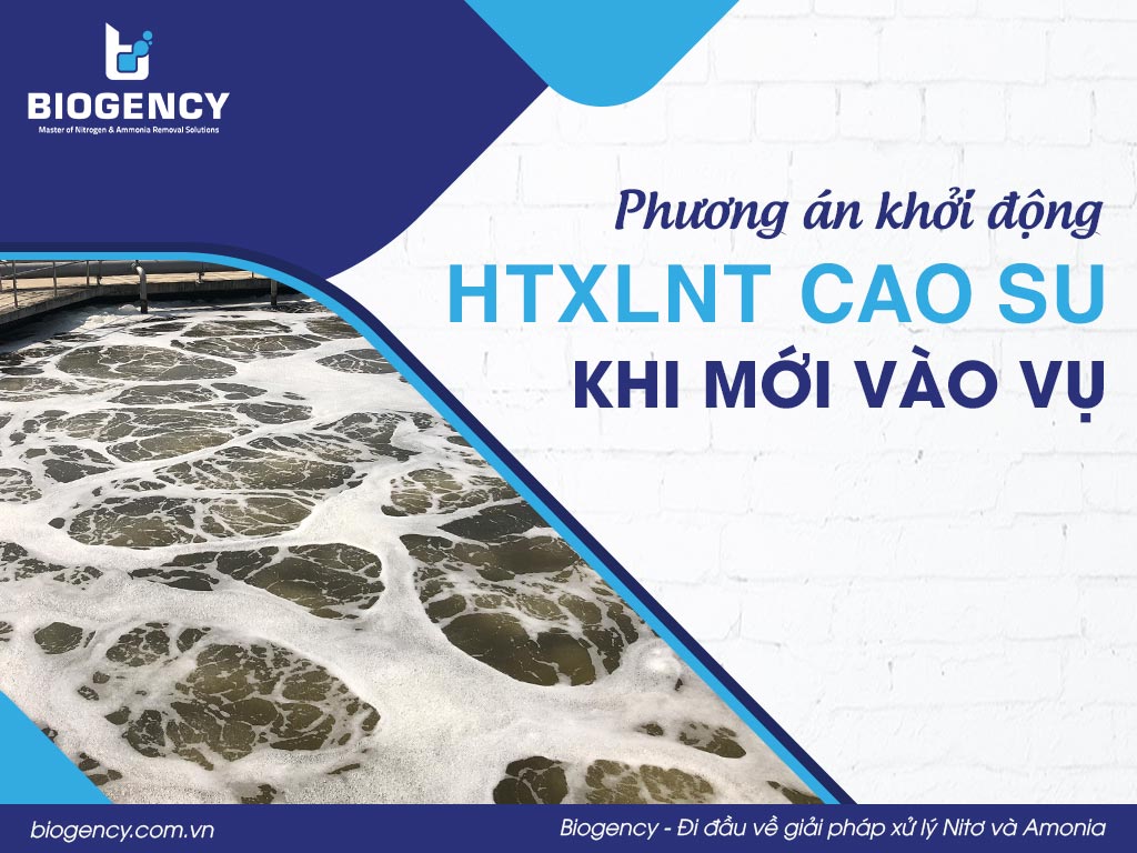 Phương án khởi động HTXLNT cao su khi mới vào vụ