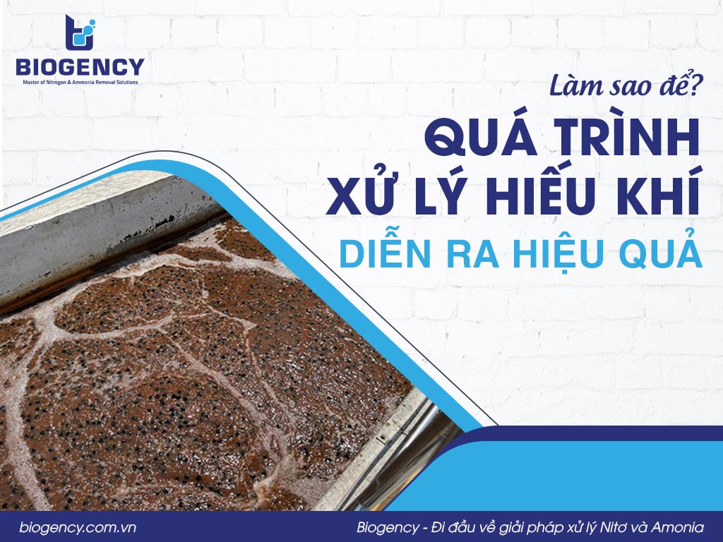 Làm sao để quá trình xử lý hiếu khí diễn ra hiệu quả?
