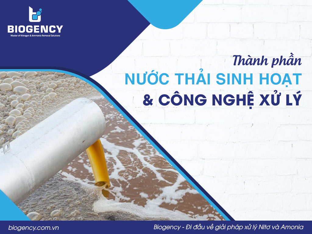 Thành phần nước thải sinh hoạt & công nghệ xử lý