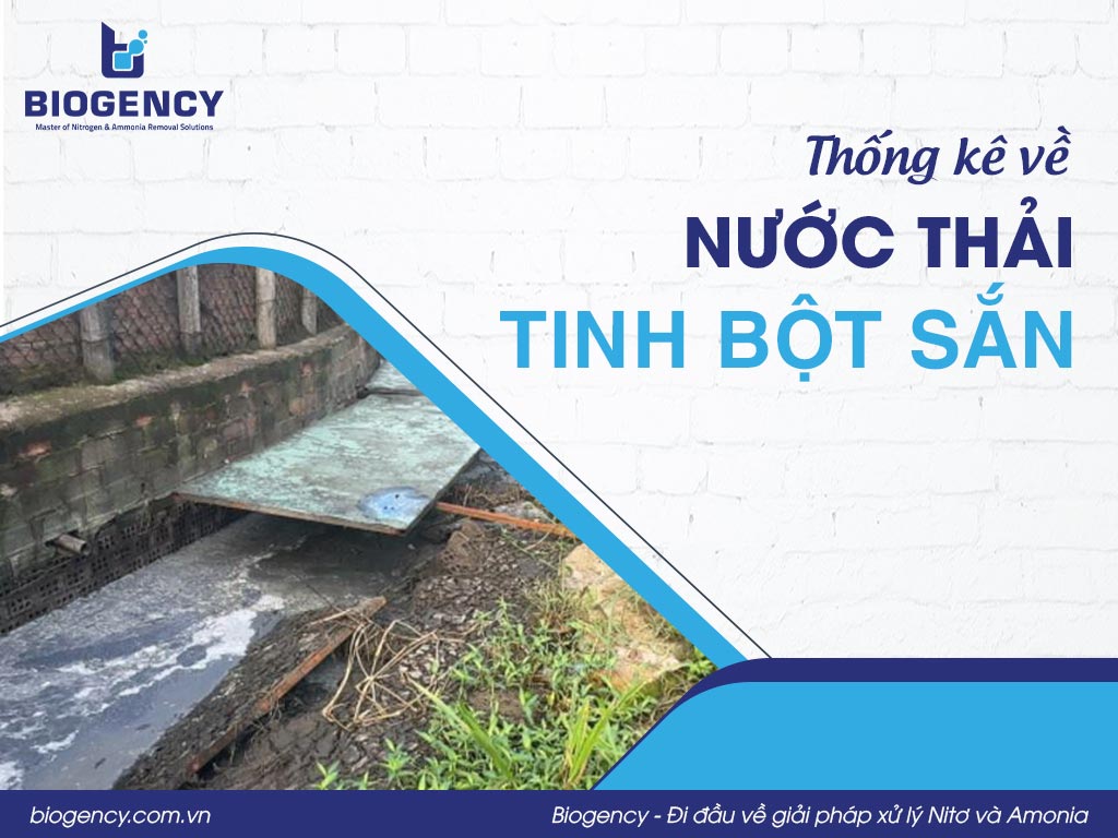 Thống kê về nước thải tinh bột sắn