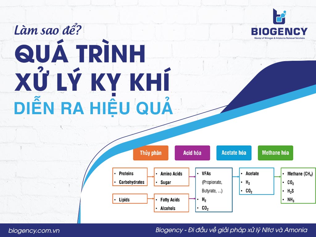 Làm sao để quá trình xử lý kỵ khí diễn ra hiệu quả?