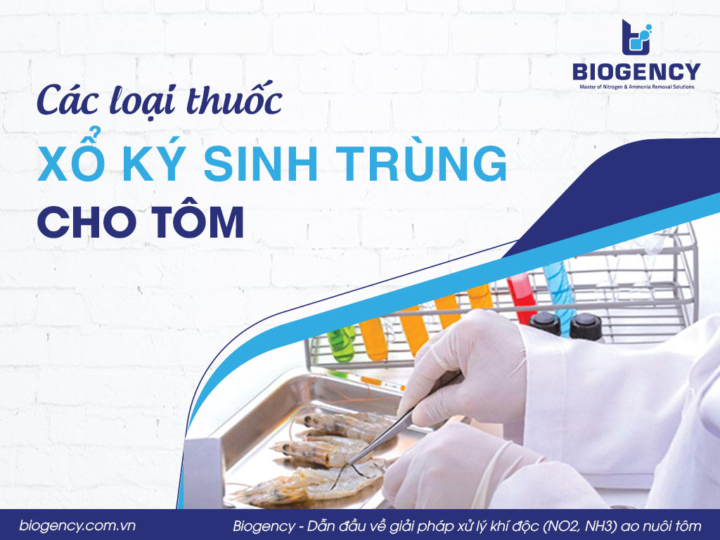 Các loại thuốc xổ ký sinh trùng cho tôm