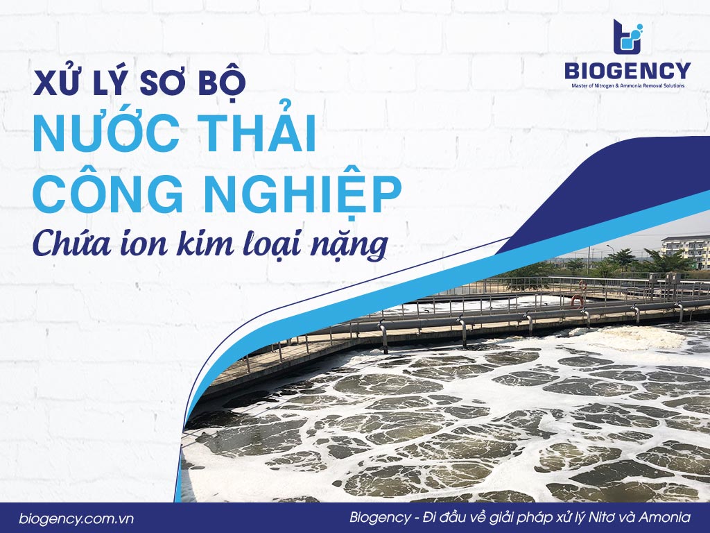 Xử lý sơ bộ nước thải công nghiệp chứa ion kim loại nặng
