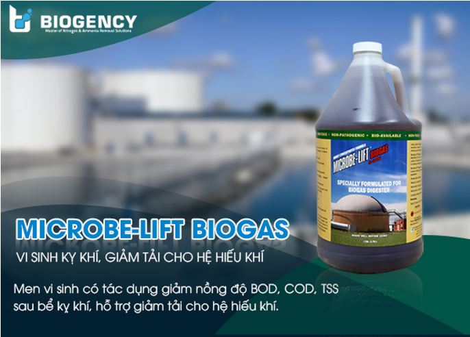 Tổng quan về sự phát triển ngành chế biến tinh bột ở Việt Nam Tổng quan về sự phát triển ngành chế biến tinh bột ở Việt Nam