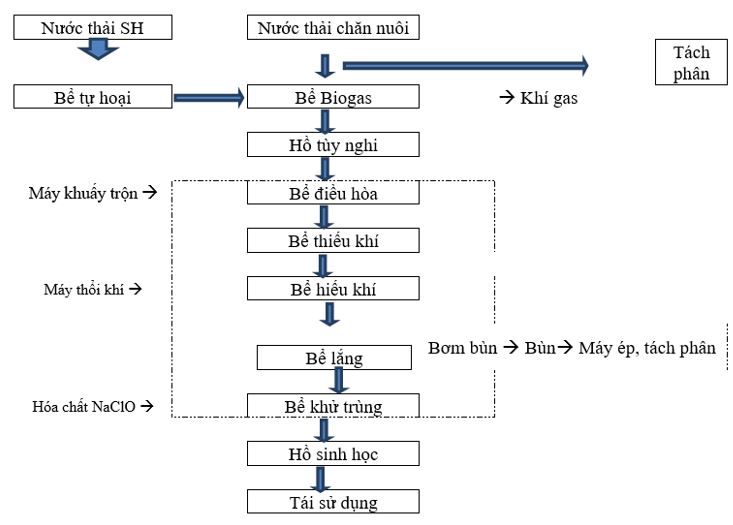 Chất thải chăn nuôi lợn: Thống kê lượng phát sinh & phương pháp xử lý Chất thải chăn nuôi lợn: Thống kê lượng phát sinh & phương pháp xử lý