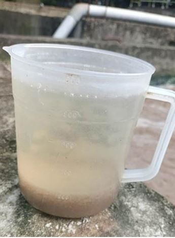 Vi sinh bị sốc tải COD: Dấu hiệu và cách xử lý