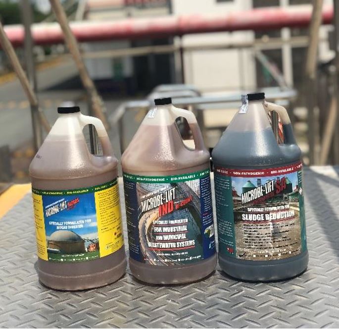 Chất thải chăn nuôi lợn: Thống kê lượng phát sinh & phương pháp xử lý