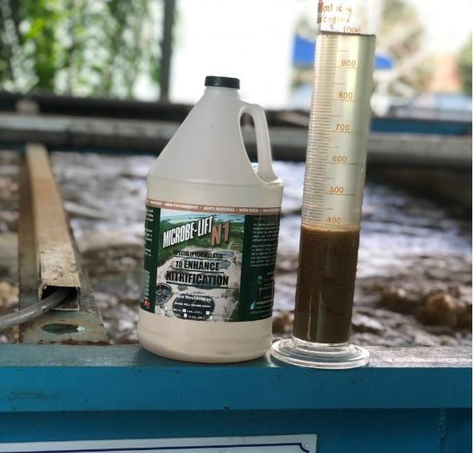 Chất thải chăn nuôi lợn: Thống kê lượng phát sinh & phương pháp xử lý