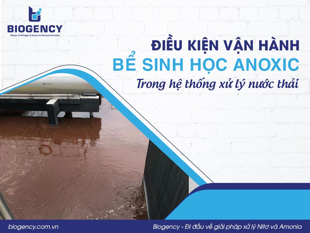 Điều kiện vận hành bể sinh học Anoxic trong hệ thống xử lý nước thải