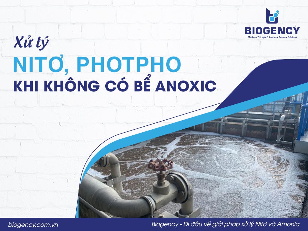 Xử lý Nitơ, Photpho khi không có bể Anoxic