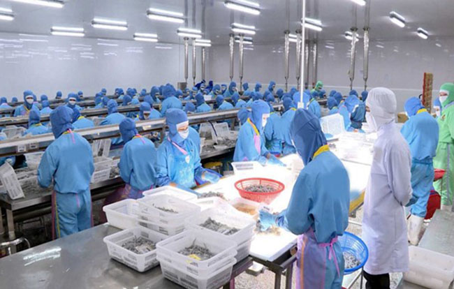 [BIOGENCY x VASEP.PRO] Hội thảo: Cập nhật các quy định và công nghệ xử lý môi trường, giải pháp giảm chi phí xử lý môi trường cho nhà máy chế biến thủy sản