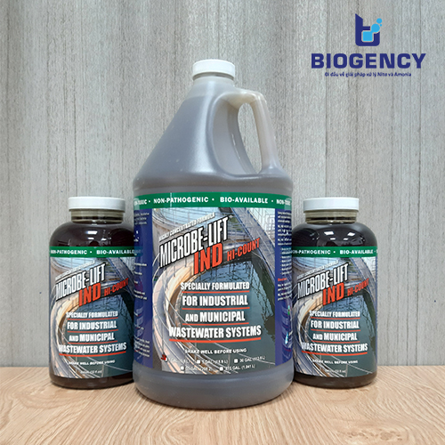 [Dự án] Khởi động vi sinh hiếu khí Hệ thống xử lý nước thải cao su (công suất 500m3 ngày/đêm)