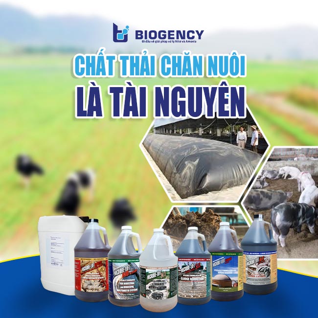 BIOGENCY hứa hẹn sẽ mang đến Vietstock 2024 những giá trị và giải pháp hữu ích về “Chất thải chăn nuôi là tài nguyên”.