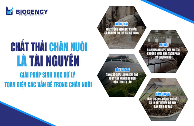 [Vietstock 2024] - BIOGENCY cùng giải pháp hữu ích về “Chất thải chăn nuôi là tài nguyên”