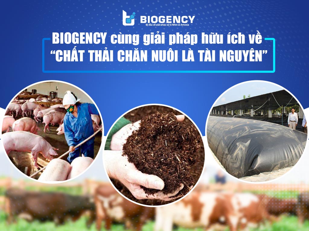 [Vietstock 2024] - BIOGENCY cùng giải pháp hữu ích về “Chất thải chăn nuôi là tài nguyên”