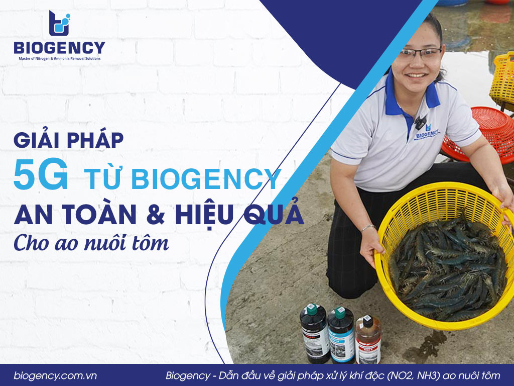 Giải pháp 5G từ BIOGENCY - An toàn và hiệu quả cho ao nuôi tôm