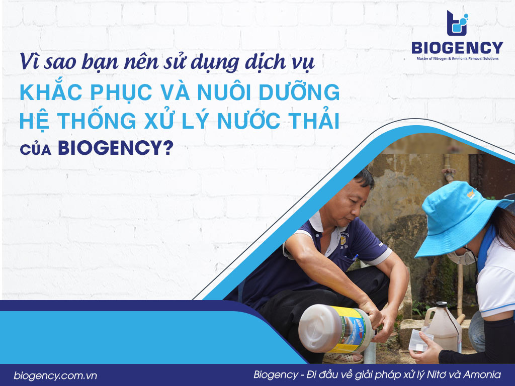 Vì sao bạn nên sử dụng dịch vụ "Khắc Phục và Nuôi Dưỡng Hệ Thống Xử Lý Nước Thải” của BIOGENCY?