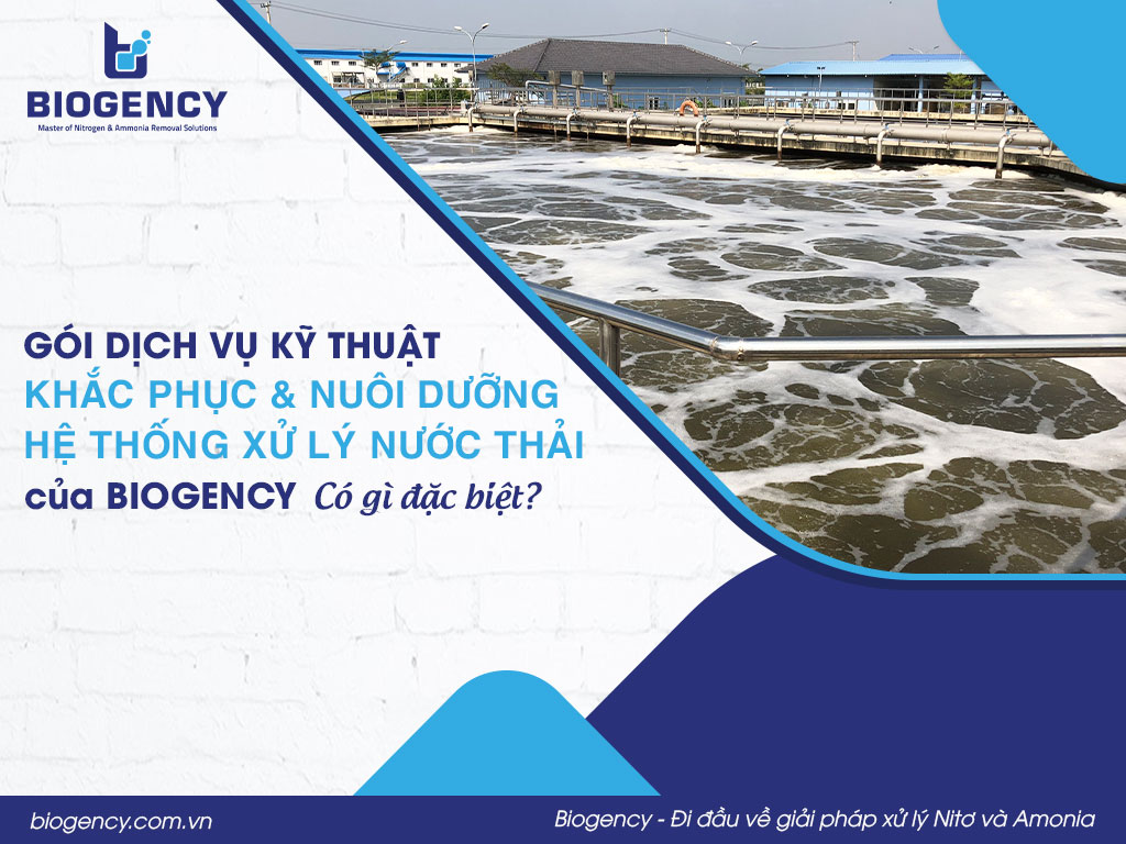 Gói dịch vụ kỹ thuật "Khắc Phục & Nuôi Dưỡng Hệ Thống Xử Lý Nước Thải” của BIOGENCY có gì đặc biệt?