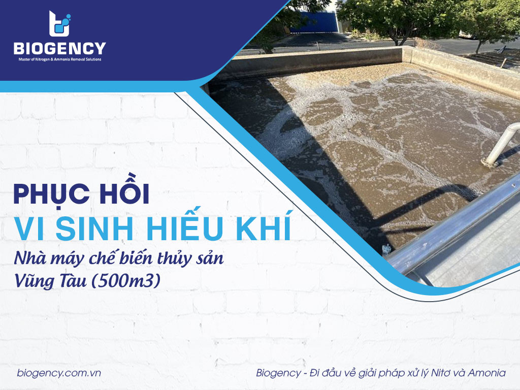 Phục hồi vi sinh hiếu khí Nhà máy chế biến thủy sản Vũng Tàu (500m3)