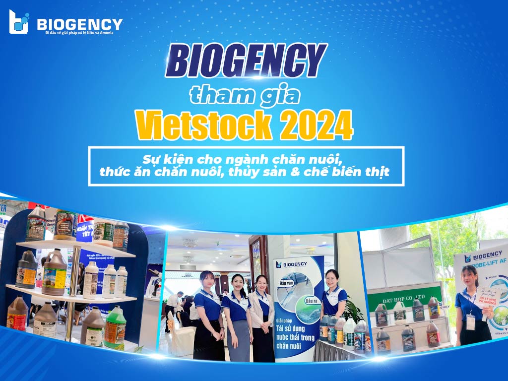 BIOGENCY tham gia Vietstock 2024 - Sự kiện cho ngành chăn nuôi, thức ăn chăn nuôi, thủy sản & chế biến thịt